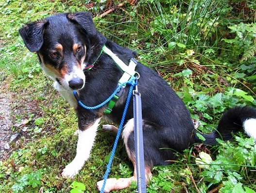 Foto: Andreas Koller / Wandertour / Rauer Kopf über dem Brixental (1580m) / 08.11.2025 18:28:29