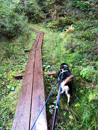 Foto: Andreas Koller / Wandertour / Rauer Kopf über dem Brixental (1580m) / 08.11.2025 18:28:18