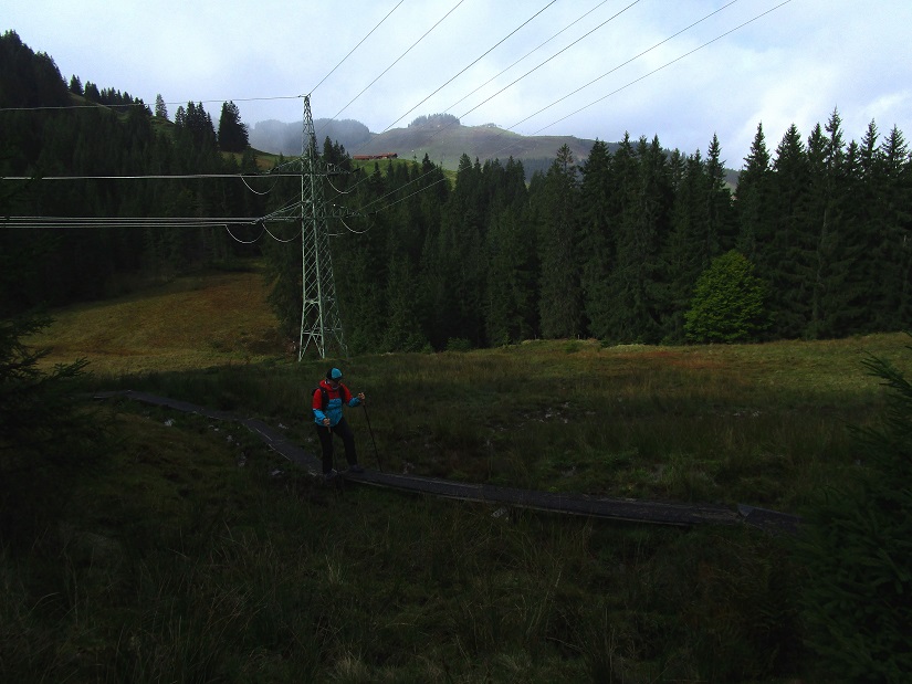 Foto: Andreas Koller / Wandertour / Rauer Kopf über dem Brixental (1580m) / 08.11.2025 18:28:11