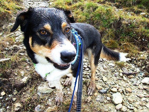 Foto: Andreas Koller / Wandertour / Rauer Kopf über dem Brixental (1580m) / 08.11.2025 18:27:50