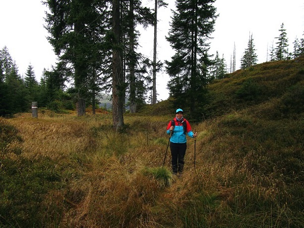 Foto: Andreas Koller / Wandertour / Rauer Kopf über dem Brixental (1580m) / 08.11.2025 18:27:46