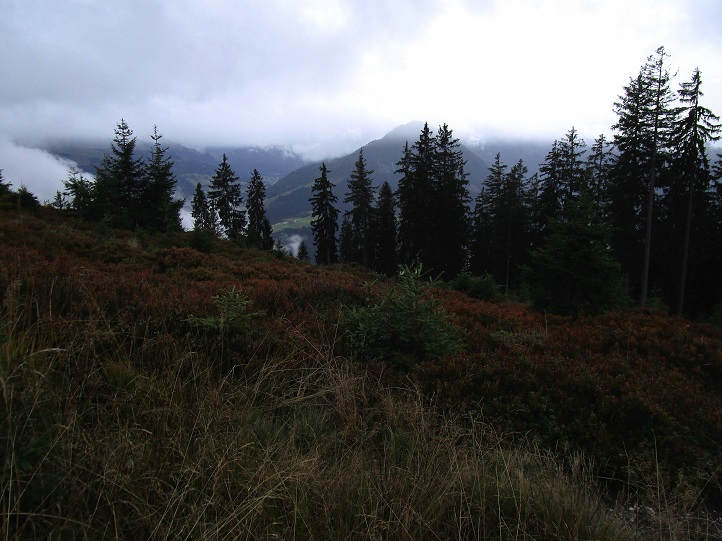 Foto: Andreas Koller / Wandertour / Rauer Kopf über dem Brixental (1580m) / 08.11.2025 18:27:40