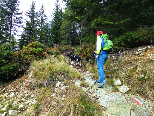 Foto: Andreas Koller / Wandertour / Rauer Kopf über dem Brixental (1580m) / 08.11.2025 18:27:00