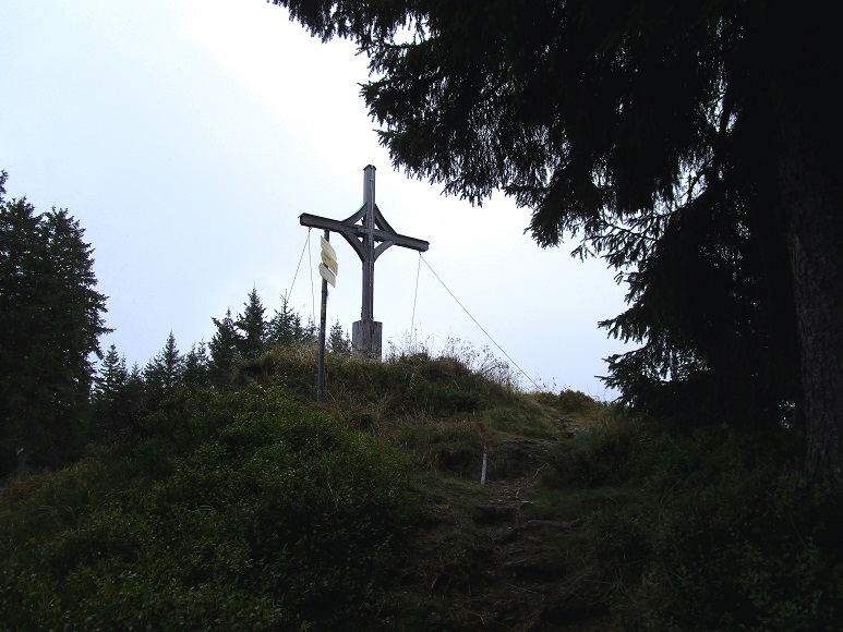 Foto: Andreas Koller / Wandertour / Rauer Kopf über dem Brixental (1580m) / Die letzten meter aus dem Wald zum Gipfelkreuz / 08.11.2025 18:26:54