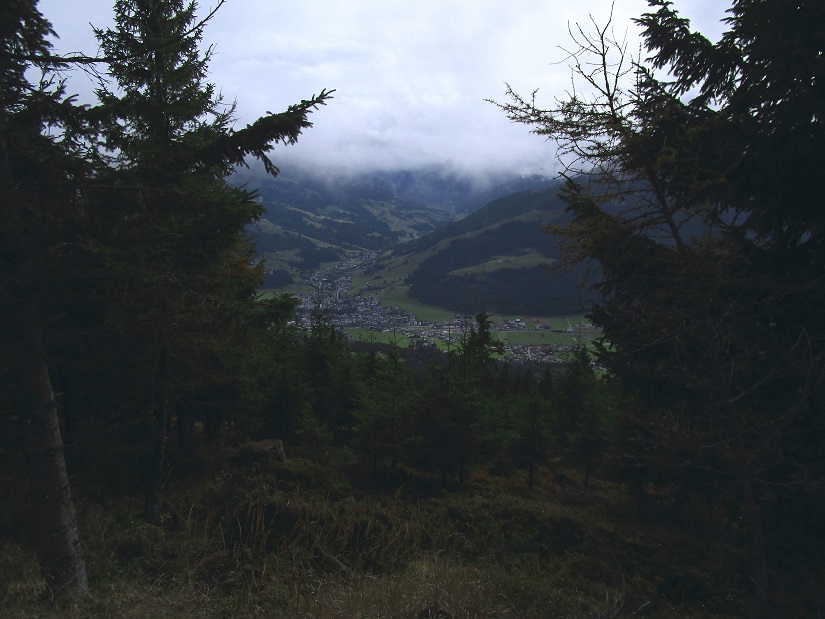 Foto: Andreas Koller / Wandertour / Rauer Kopf über dem Brixental (1580m) / Abstieg vom Rauhen Kopf / 08.11.2025 18:25:39