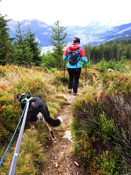 Foto: Andreas Koller / Wandertour / Rauer Kopf über dem Brixental (1580m) / 08.11.2025 18:25:21