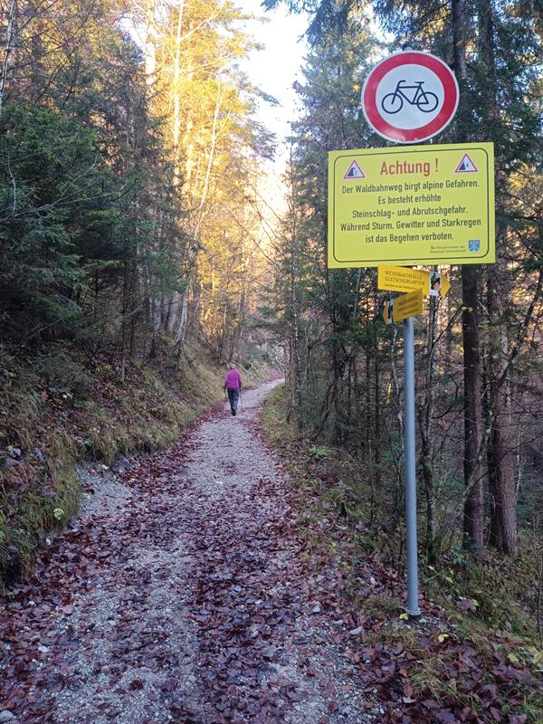 Foto: Wolfgang Lauschensky / Wandertour / Hinterer und Vorderer Rauschberg von Weißbach / am Eingang zum Waldbahnweg / 15.11.2025 12:58:37