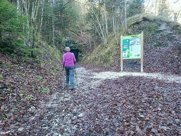 Foto: Wolfgang Lauschensky / Wandertour / Hinterer und Vorderer Rauschberg von Weißbach / Waldbahntunnel / 15.11.2025 12:58:32
