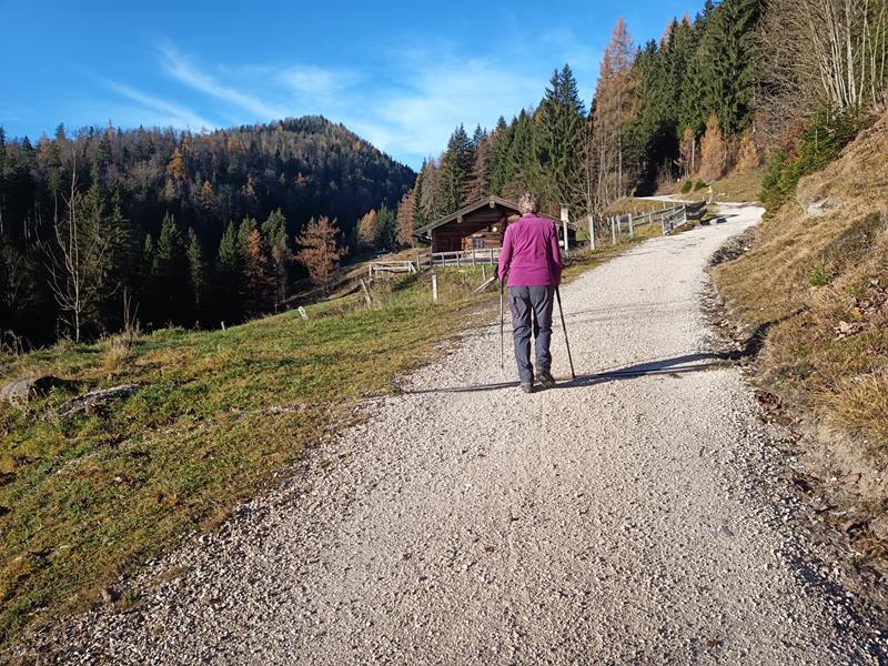 Foto: Wolfgang Lauschensky / Wandertour / Hinterer und Vorderer Rauschberg von Weißbach / Harbachalm / 15.11.2025 12:58:23