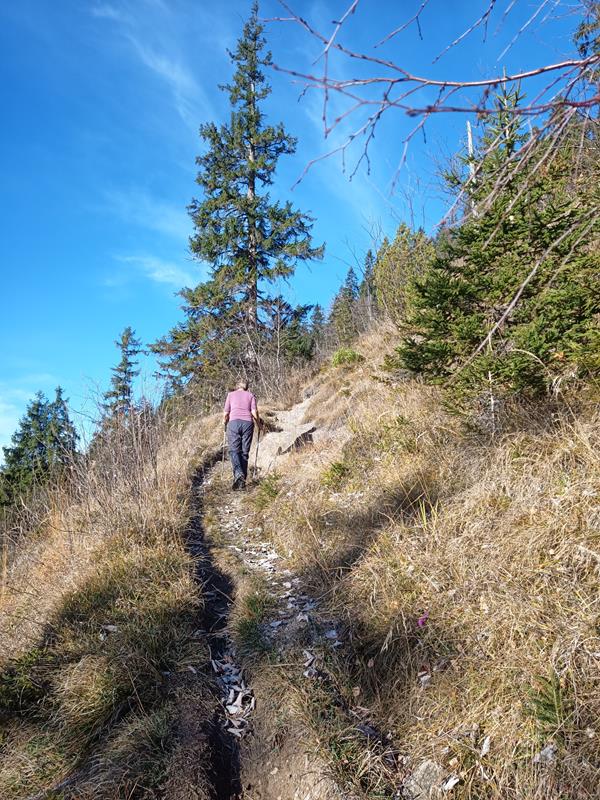 Foto: Wolfgang Lauschensky / Wandertour / Hinterer und Vorderer Rauschberg von Weißbach / in der Südflanke / 15.11.2025 12:58:14
