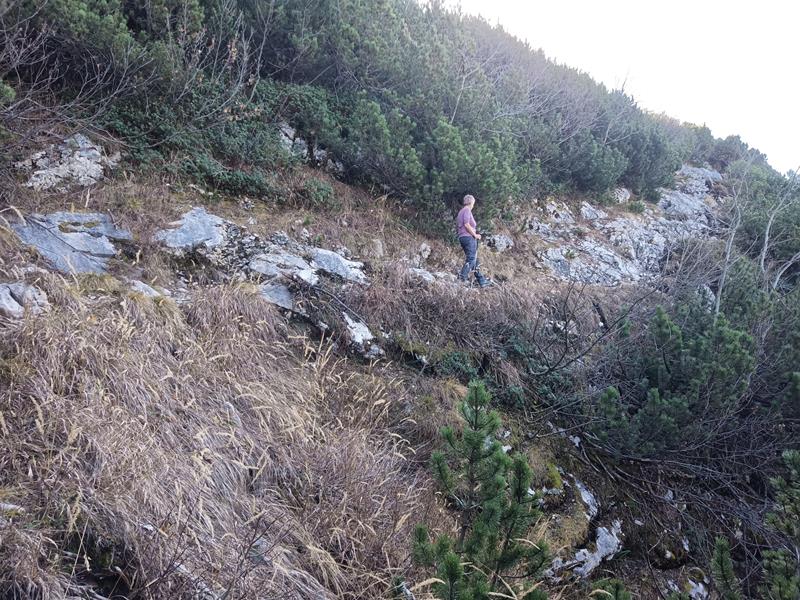 Foto: Wolfgang Lauschensky / Wandertour / Hinterer und Vorderer Rauschberg von Weißbach / Latschengassen zum Hinteren Rauschberg / 15.11.2025 12:57:57
