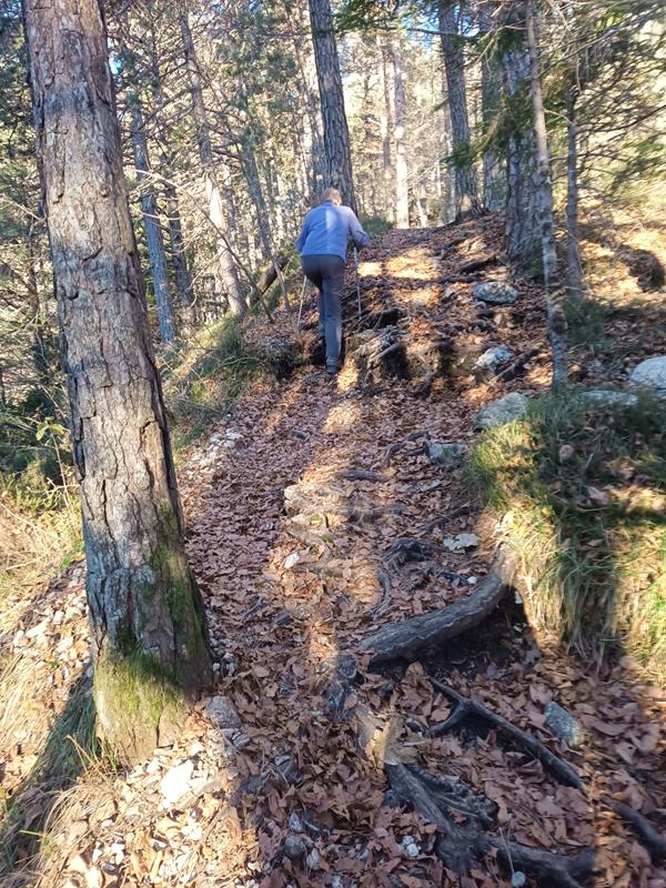 Foto: Wolfgang Lauschensky / Wandertour / Monte Spilech 1725m / schöner Waldsteig / 16.11.2025 18:53:58