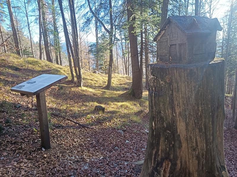 Foto: Wolfgang Lauschensky / Wandertour / Monte Spilech 1725m / Rastplatz mit Baumskulptur / 16.11.2025 18:53:53