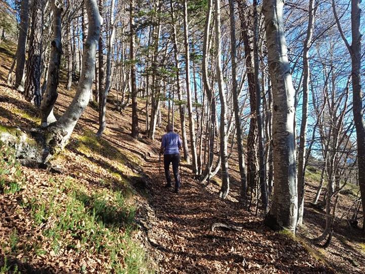 Foto: Wolfgang Lauschensky / Wandertour / Monte Spilech 1725m / gemütliches Wandern im Laubwald / 16.11.2025 18:53:49