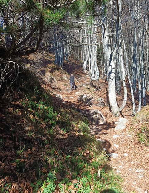 Foto: Wolfgang Lauschensky / Wandertour / Monte Spilech 1725m / unter dem Rifugio Casarota / 16.11.2025 18:53:40