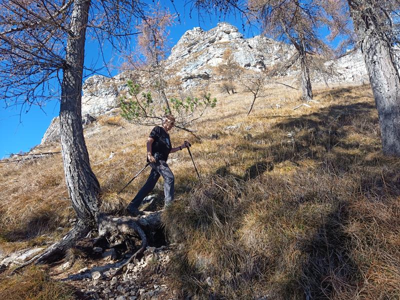 Foto: Wolfgang Lauschensky / Wandertour / Monte Spilech 1725m / Querung unter den Südost-Wänden des
Vigolanastocks / 16.11.2025 18:53:32