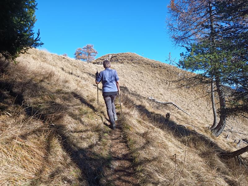 Foto: Wolfgang Lauschensky / Wandertour / Monte Spilech 1725m / feiner Wald-Wiesensteig zum Monte Spilech / 16.11.2025 18:53:24