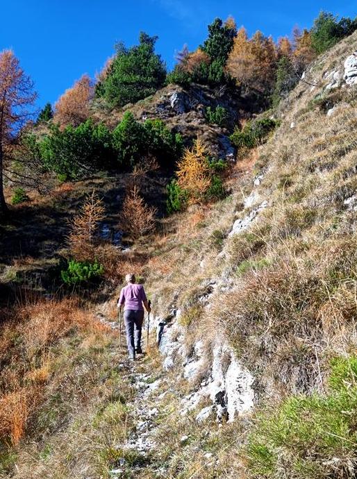 Foto: Wolfgang Lauschensky / Wandertour / Cima Palon 1915m Überschreitung / lange Querung der Ostflanke / 17.11.2025 16:10:04