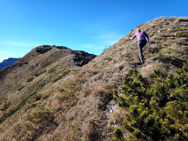 Foto: Wolfgang Lauschensky / Wandertour / Cima Palon 1915m Überschreitung / am Gipfelkamm / 17.11.2025 16:09:28