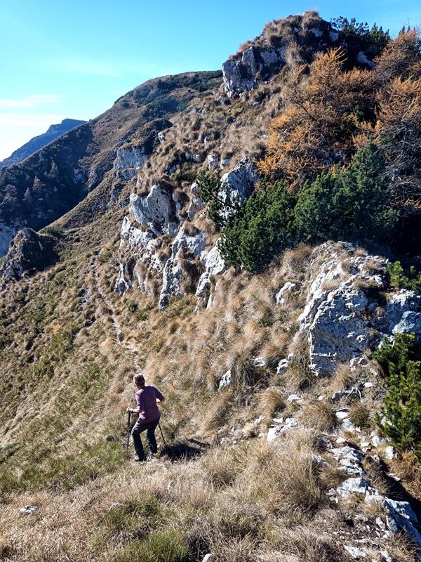 Foto: Wolfgang Lauschensky / Wandertour / Cima Palon 1915m Überschreitung / Umgehung von Kammfelsen / 17.11.2025 16:09:24