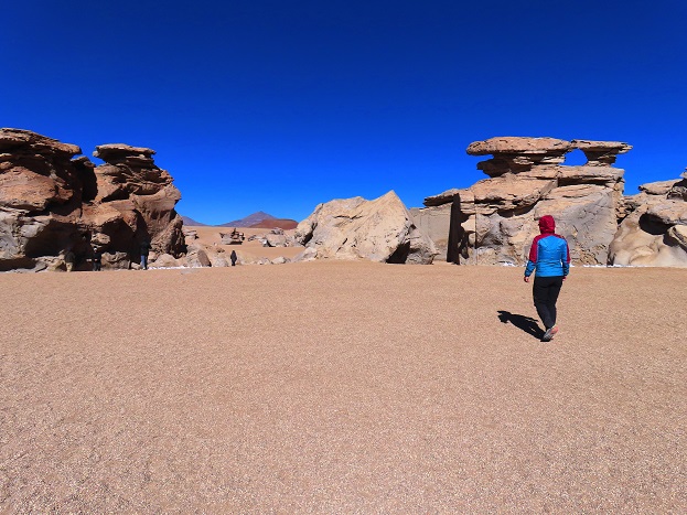 Foto: Andreas Koller / Klettertour / Arbol de Piedra: Bouldern auf 4500m (4560m) / In wenigen Min. zu den Felsblöcken / 29.11.2025 15:20:05