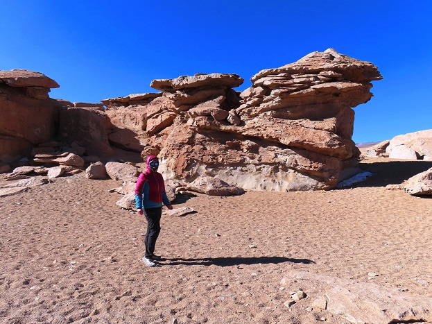 Foto: Andreas Koller / Klettertour / Arbol de Piedra: Bouldern auf 4500m (4560m) / 29.11.2025 15:19:12
