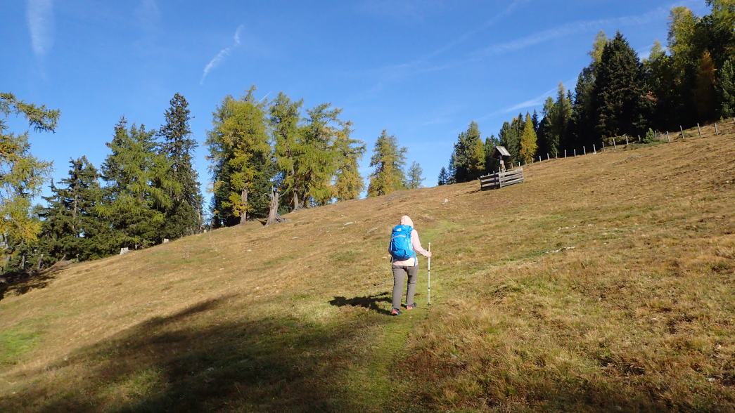 Foto: Manfred Karl / Wandertour / Weisse Wand (2342 m) – Rundwanderung vom Rieger Kaser / Oberhalb vom Rieger Kaser / 24.06.2026 12:59:04