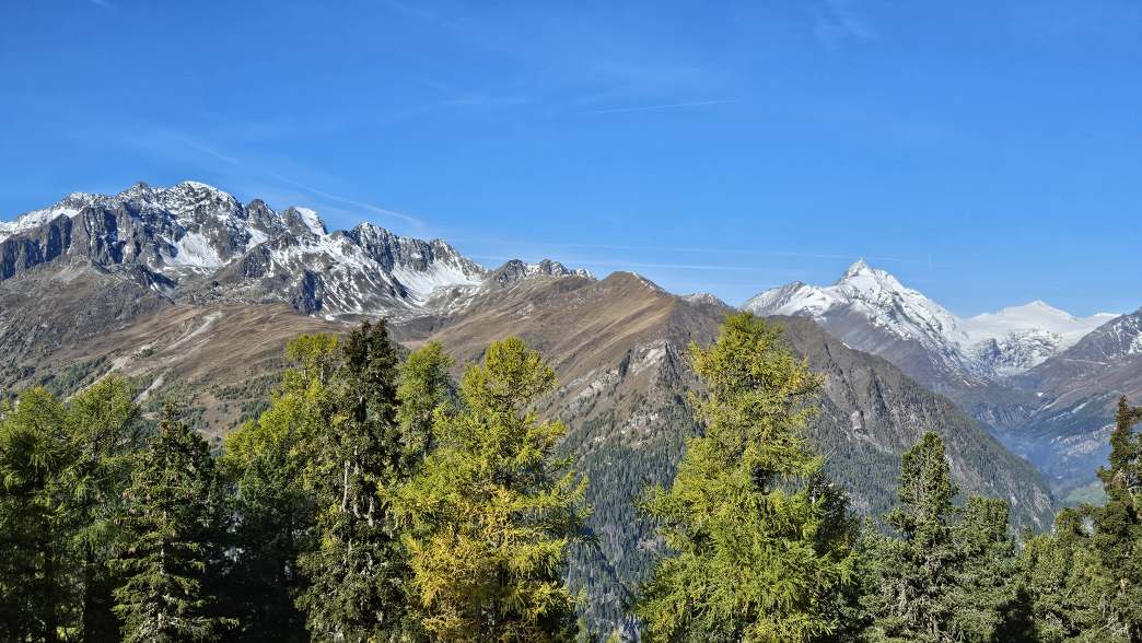 Foto: Manfred Karl / Wandertour / Weisse Wand (2342 m) – Rundwanderung vom Rieger Kaser / Schobergruppe und Großglockner / 24.06.2026 12:58:31
