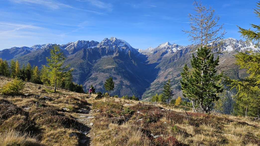 Foto: Manfred Karl / Wandertour / Weisse Wand (2342 m) – Rundwanderung vom Rieger Kaser / 24.06.2026 12:57:49