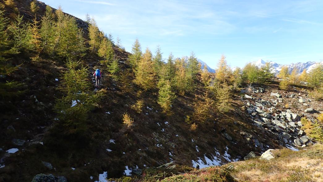 Foto: Manfred Karl / Wandertour / Weisse Wand (2342 m) – Rundwanderung vom Rieger Kaser / Ansteigende Querung Richtung Weiße Wand / 24.06.2026 12:56:54