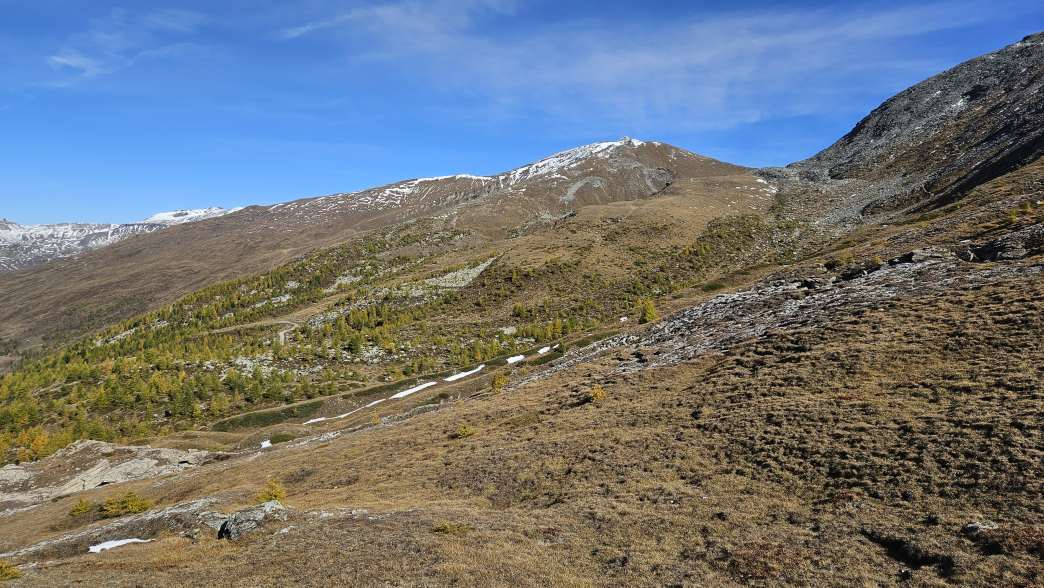 Foto: Manfred Karl / Wandertour / Weisse Wand (2342 m) – Rundwanderung vom Rieger Kaser / 24.06.2026 12:55:36