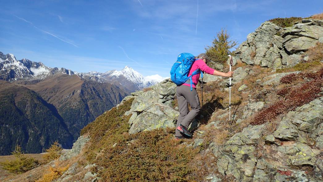 Foto: Manfred Karl / Wandertour / Weisse Wand (2342 m) – Rundwanderung vom Rieger Kaser / 24.06.2026 12:53:17