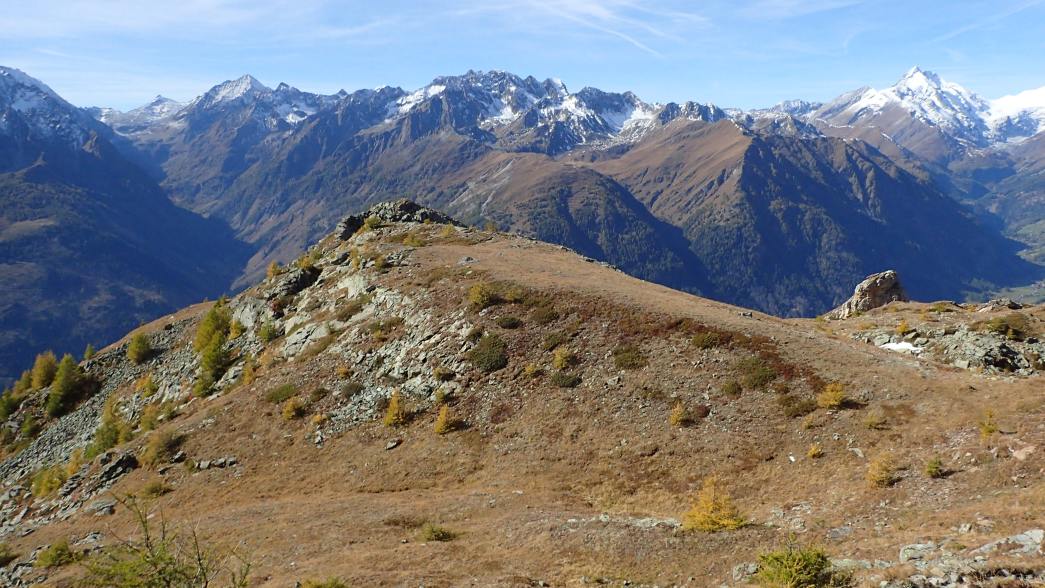 Foto: Manfred Karl / Wandertour / Weisse Wand (2342 m) – Rundwanderung vom Rieger Kaser / 24.06.2026 12:50:38