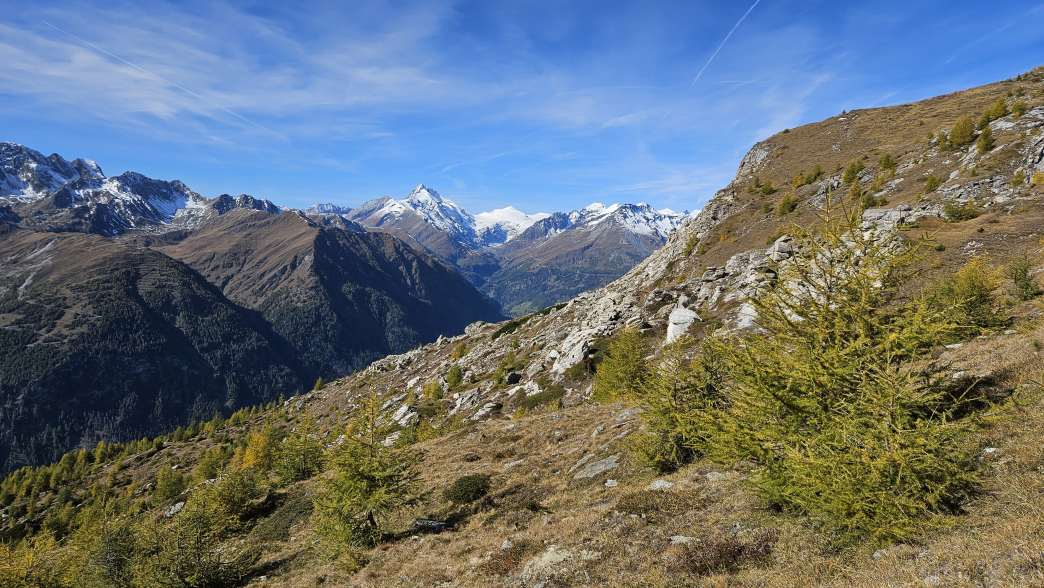 Foto: Manfred Karl / Wandertour / Weisse Wand (2342 m) – Rundwanderung vom Rieger Kaser / 24.06.2026 12:48:47