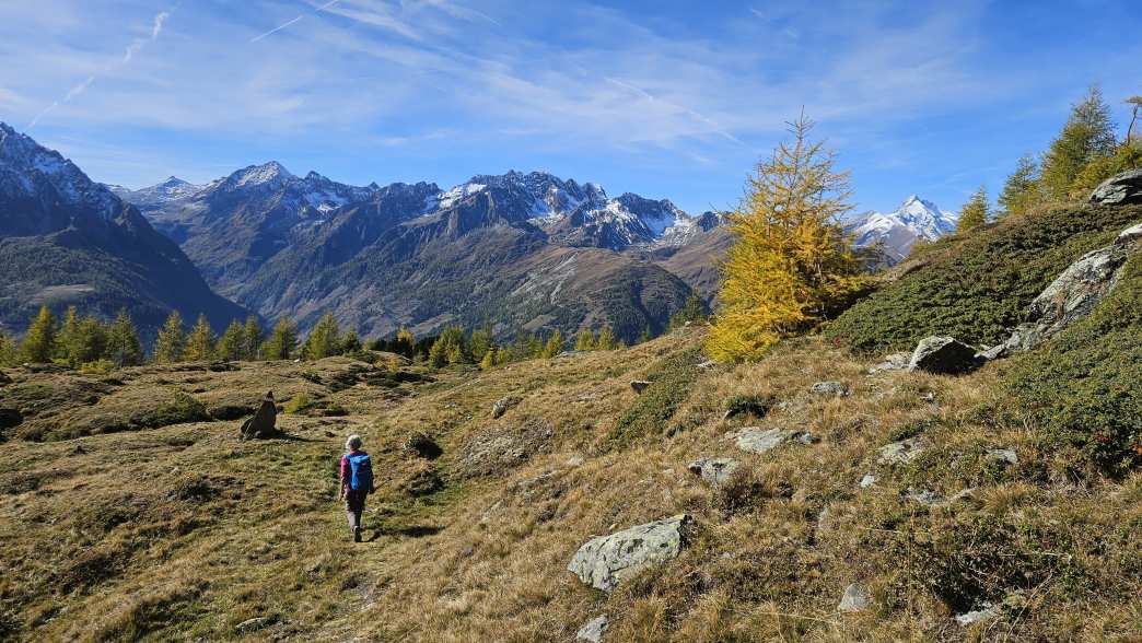 Foto: Manfred Karl / Wandertour / Weisse Wand (2342 m) – Rundwanderung vom Rieger Kaser / 24.06.2026 12:48:35