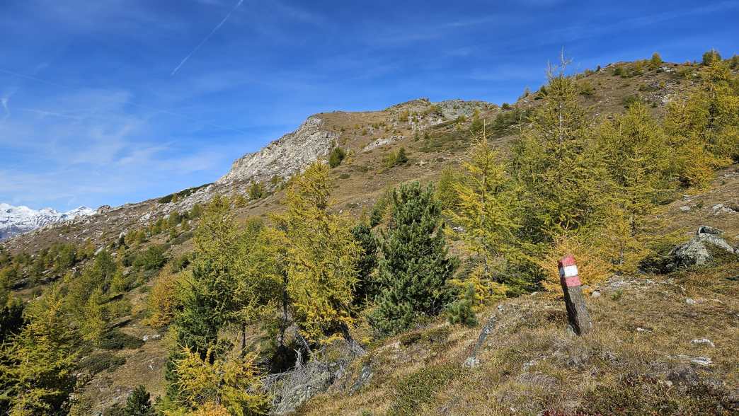 Foto: Manfred Karl / Wandertour / Weisse Wand (2342 m) – Rundwanderung vom Rieger Kaser / 24.06.2026 12:48:24