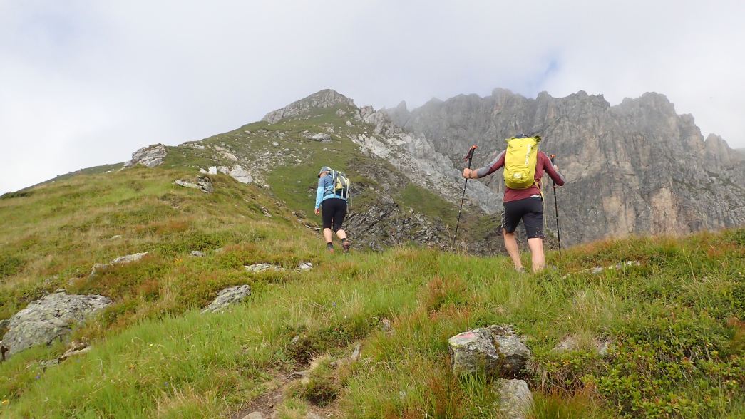 Foto: Manfred Karl / Wandertour / Wildkarhöhe (2511 m) aus dem Riedingtal / Über den Gratrücken geht es steil höher / 23.06.2026 21:05:15