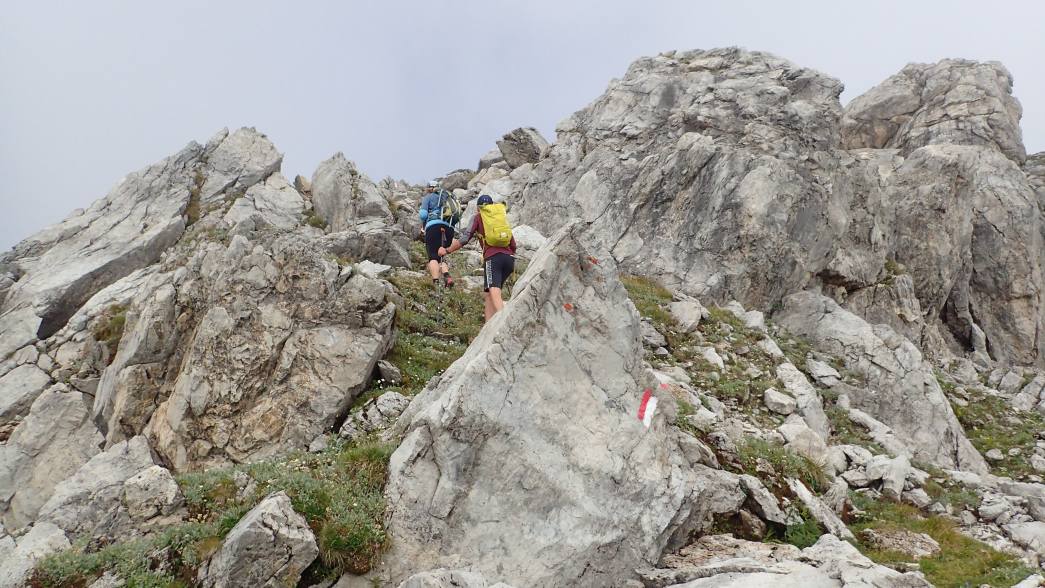 Foto: Manfred Karl / Wandertour / Wildkarhöhe (2511 m) aus dem Riedingtal / Im felsigen Bereich vom Stierkarkopf / 23.06.2026 21:04:33
