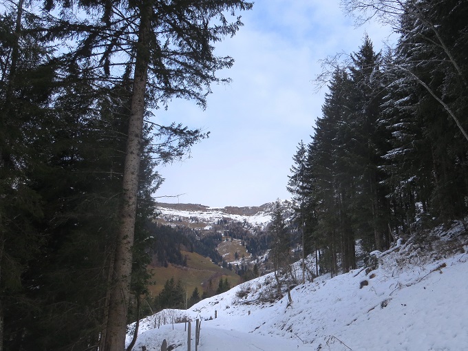 Foto: Andreas Koller / Skitour / Trainingstour Dorfgastein: Zur Reiterhütte (1478m) / 13.12.2025 02:08:33