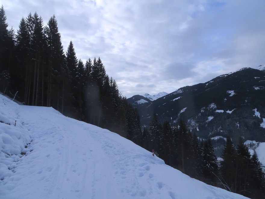 Foto: Andreas Koller / Skitour / Trainingstour Dorfgastein: Zur Reiterhütte (1478m) / 13.12.2025 02:08:27