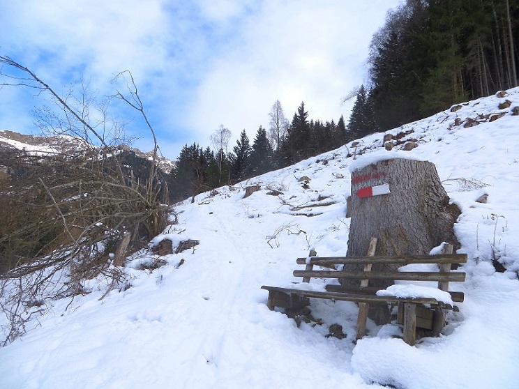 Foto: Andreas Koller / Skitour / Trainingstour Dorfgastein: Zur Reiterhütte (1478m) / 13.12.2025 02:08:22