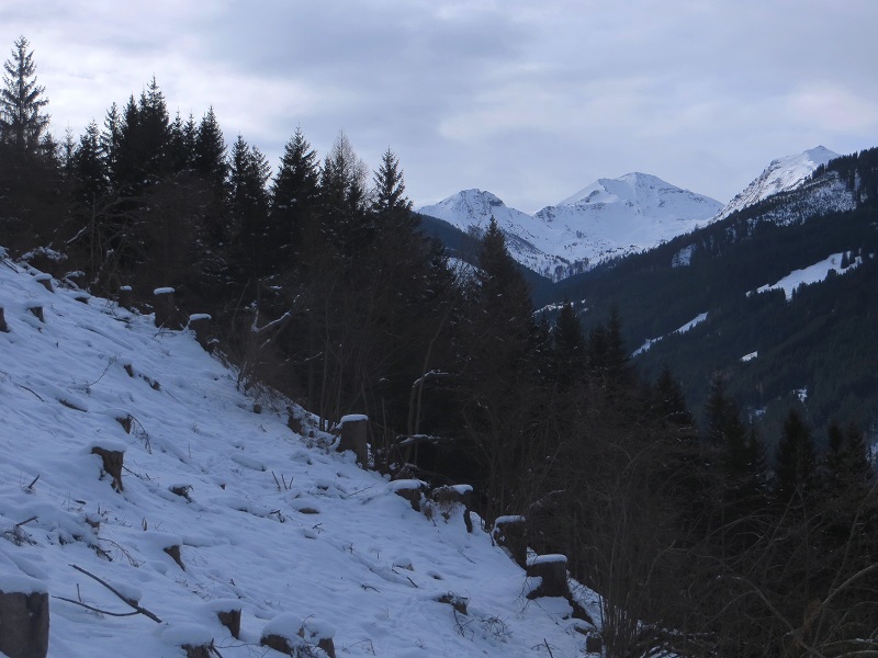Foto: Andreas Koller / Skitour / Trainingstour Dorfgastein: Zur Reiterhütte (1478m) / 13.12.2025 02:08:02