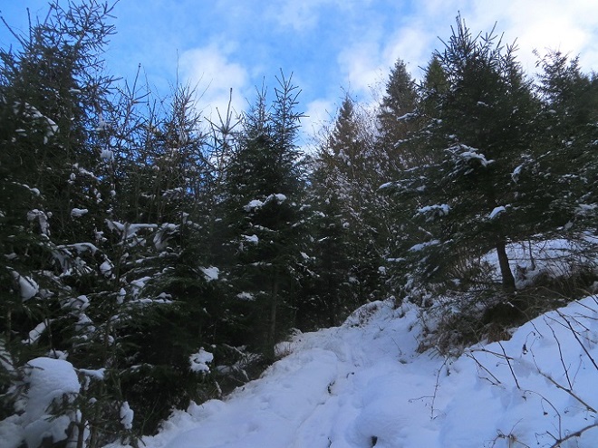 Foto: Andreas Koller / Skitour / Trainingstour Dorfgastein: Zur Reiterhütte (1478m) / 13.12.2025 02:07:54