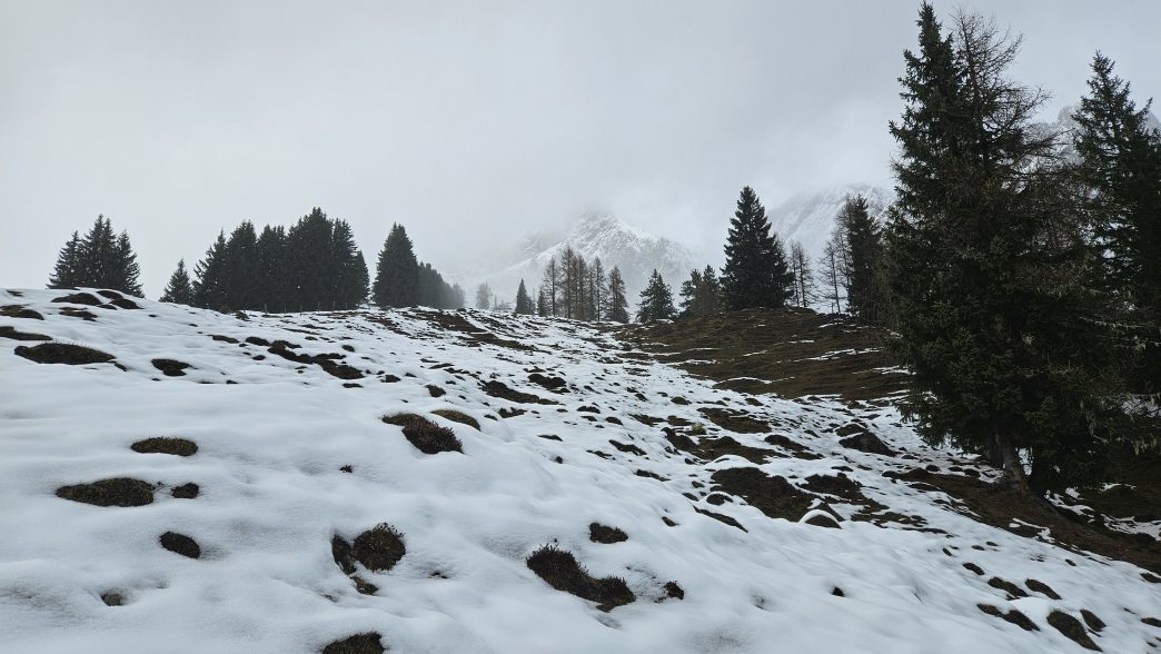 Foto: Manfred Karl / Schneeschuhtour / Zu den Vier Hütten (1545 m) / Über den linken Rücken erfolgt der Aufstieg / 23.06.2026 10:55:07