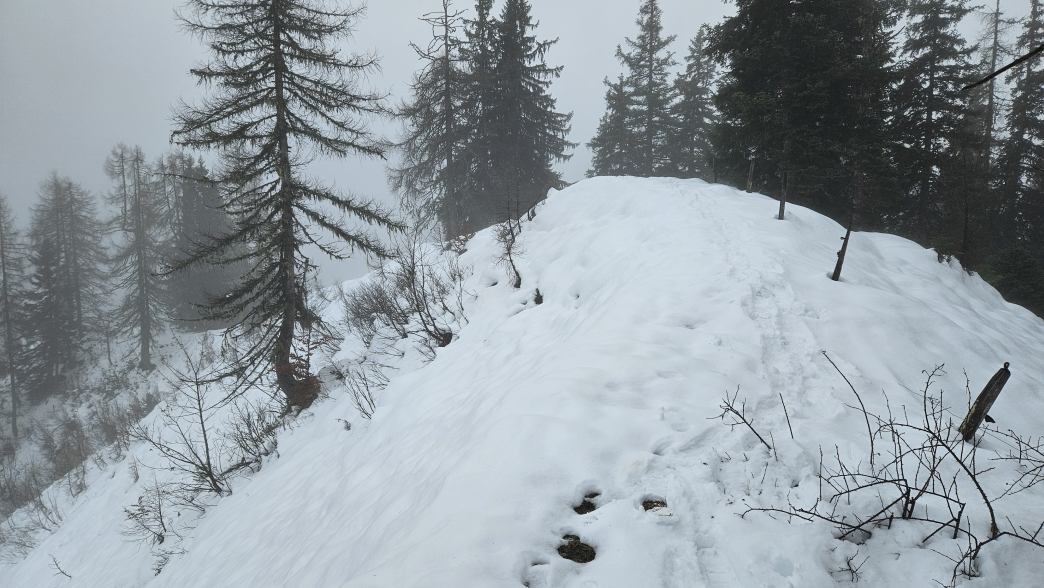 Foto: Manfred Karl / Schneeschuhtour / Zu den Vier Hütten (1545 m) / Die Kuppe auf der Höhe 1490 m / 23.06.2026 10:53:52
