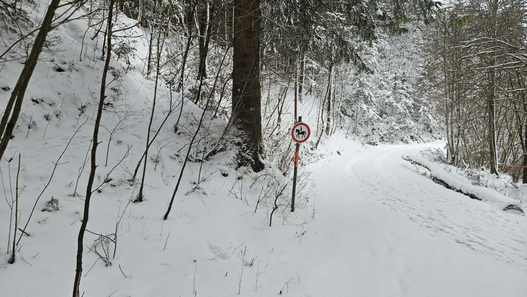Foto: Manfred Karl / Schneeschuhtour / Schneeschuhwanderung zur Gossenleier (574 m) / Hier links abzweigen / 17.02.2026 08:51:48