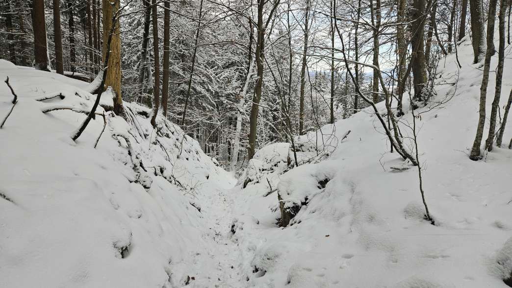 Foto: Manfred Karl / Schneeschuhtour / Schneeschuhwanderung zur Gossenleier (574 m) / Kurze Engstelle am Abkürzungssteig / 17.02.2026 08:51:32