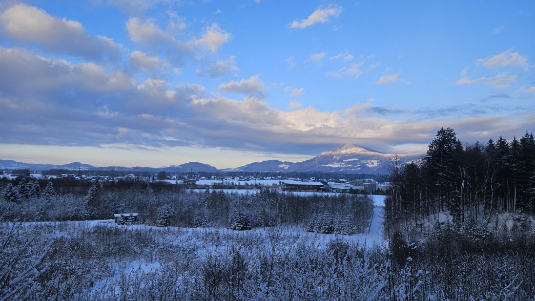Foto: Manfred Karl / Schneeschuhtour / Schneeschuhwanderung zur Gossenleier (574 m) / Nochmaliger Ausblick über das Salzburger Becken / 17.02.2026 08:47:37