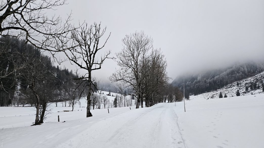 Foto: Manfred Karl / Schneeschuhtour / Von Werfenweng zur Elmaualm (1513 m) / Im Talschluss der Wengerau / 08.05.2026 13:40:27