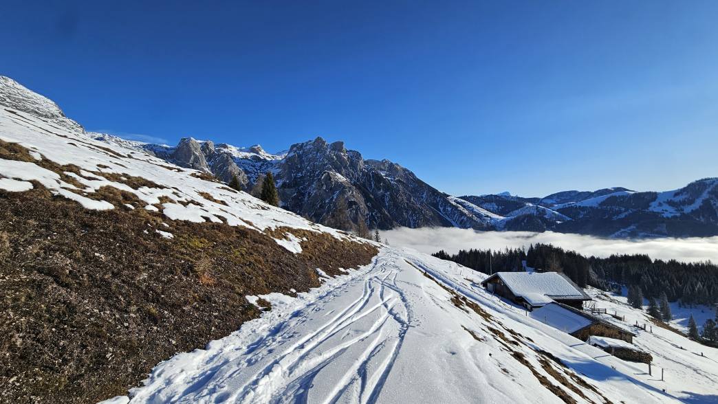 Foto: Manfred Karl / Schneeschuhtour / Von Werfenweng zur Elmaualm (1513 m) / 08.05.2026 13:36:03